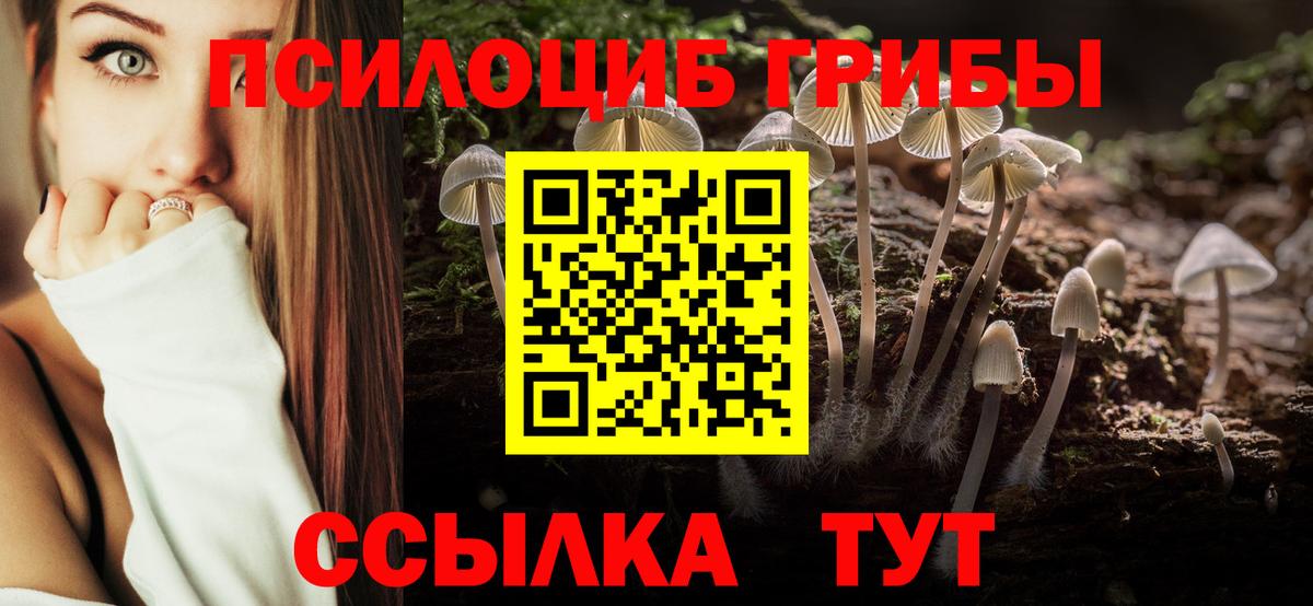 Галлюциногенные грибы прущие грибы Ливны