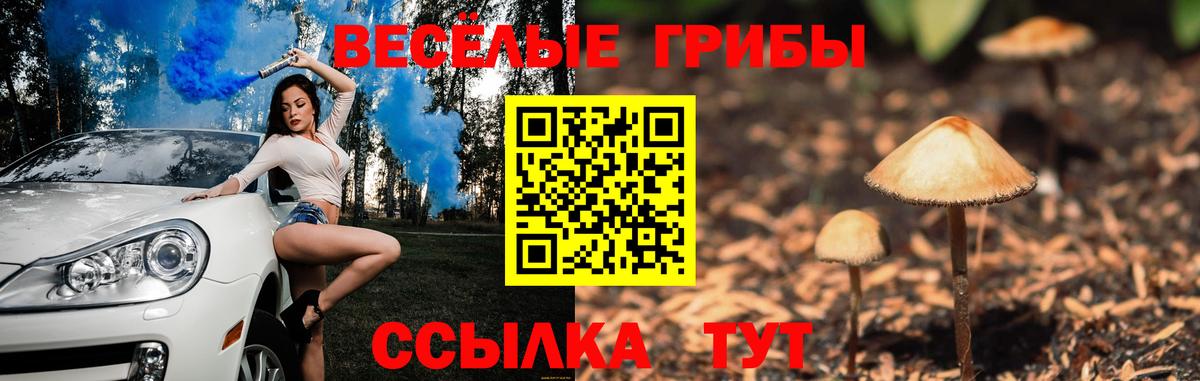 купить   Галлюциногенные грибы GOLDEN TEACHER  Вход с VPN  Ливны 